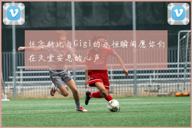 怀念科比与Gigi的永恒瞬间愿你们在天堂安息的心声