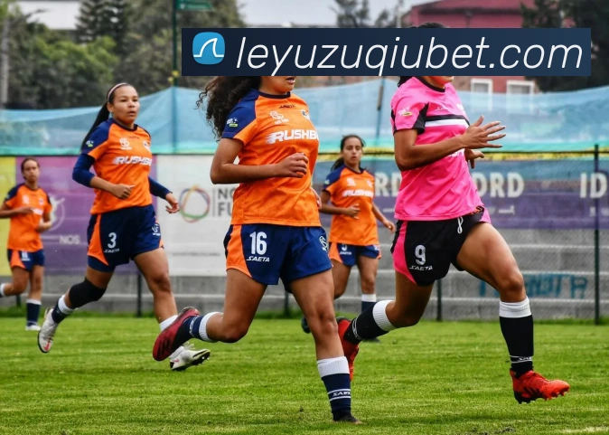 乐鱼体育平台生态图